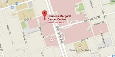 Χάρτης της Πριγκίπισσας Μαργαρίτας Cancer Centre Τορόντο