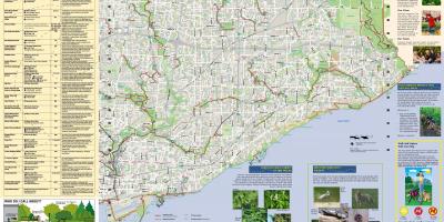 Χάρτης της πάρκα και μονοπάτια για περπάτημα East Τορόντο